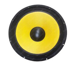 Wooder altoparlante 15