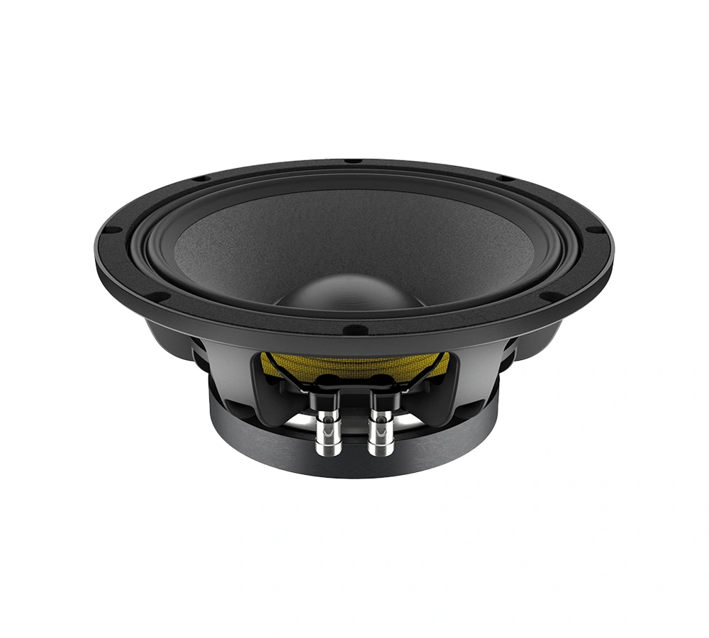 Woofer 10 25cm LAVOCE WAF102.51 700W